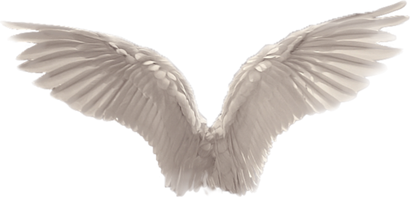 Крылья ангела на прозрачном фоне