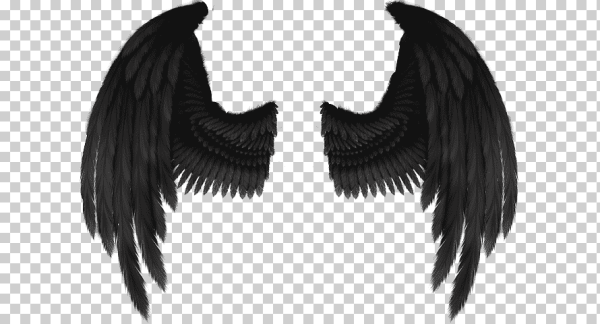 Чёрные Крылья ангела для фотошопа