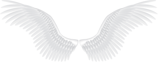 Крылья ангела на прозрачном фоне