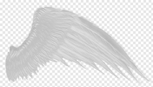 Крылья ангела с боку