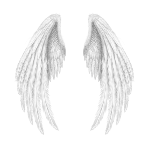 Крылья ангела