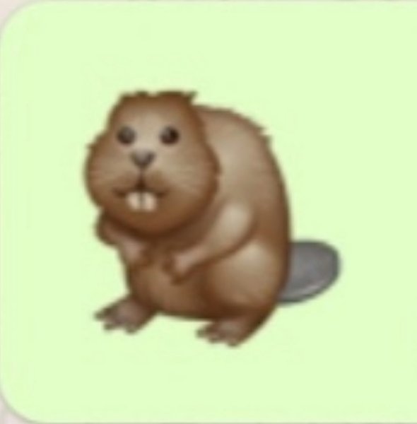 Эмодзи бобра