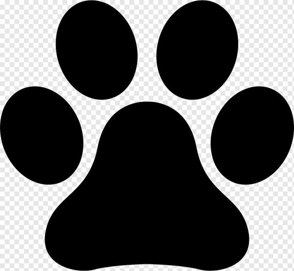 Собачья лапа