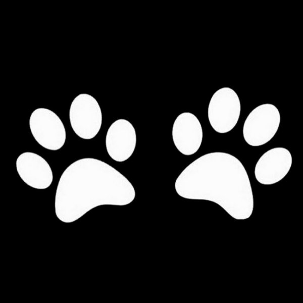 Красный отпечаток лапы