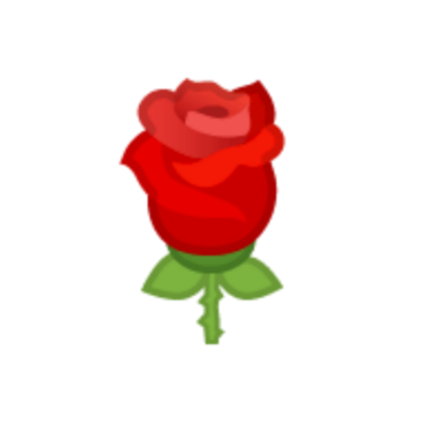 Завядший цветок на белом фоне