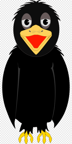 Голова ворона сбоку