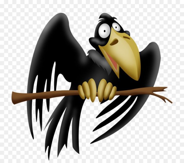 Мордочка вороны