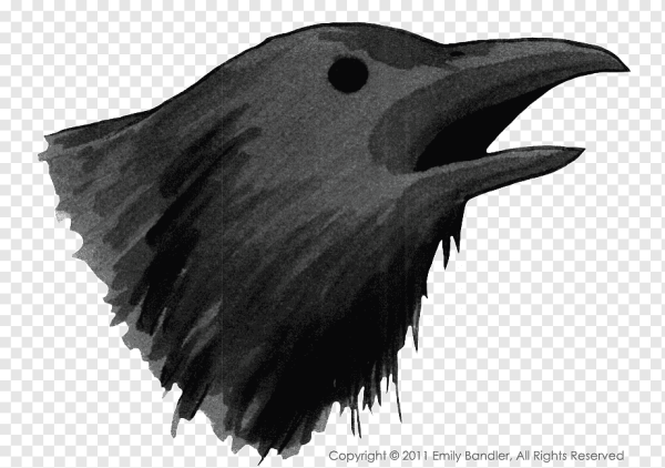 Ворон Браво старс