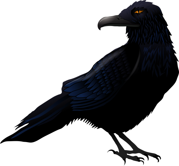 Ворон на прозрачном фоне