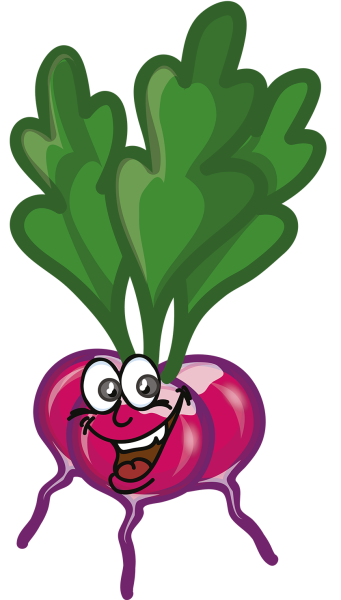 Веселая редиска