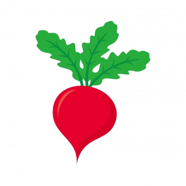 Редиска и помидор