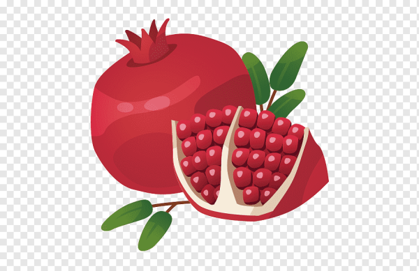 Силуэт граната фрукт
