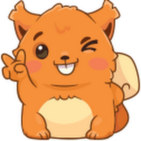 Стикеры ВК белка