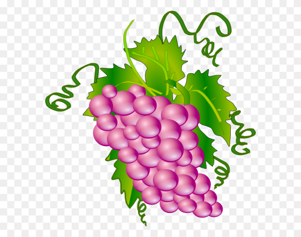 Виноградный лист с гроздью