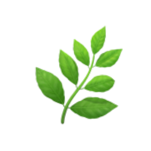 Зеленые листочки