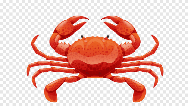 Крабик на белом фоне