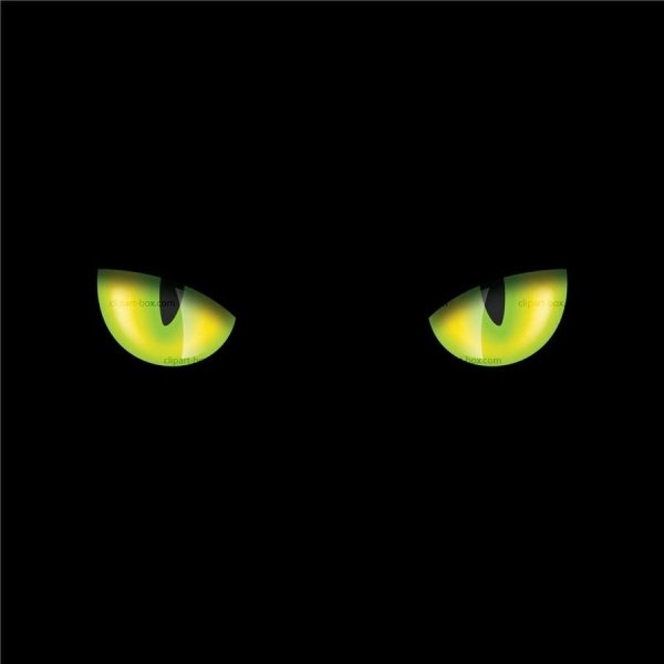 Кошка с темными глазами