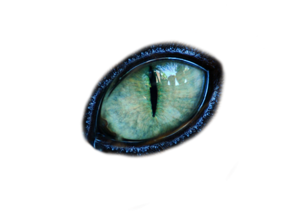 Кошачьи глаза на прозрачном фоне