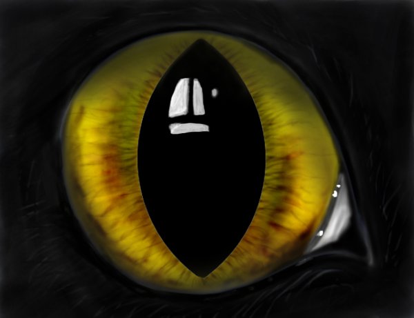 Жёлтые глаза с вертикальным зрачком