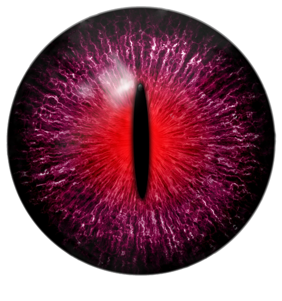 Зрачок дракона