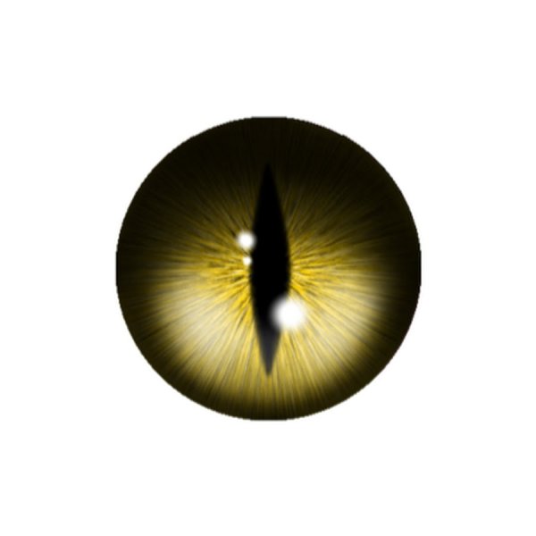 Линзы фотошоп кошачьи