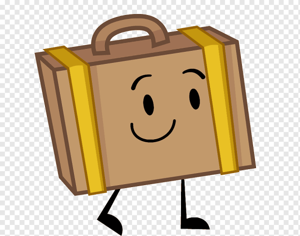 Inanimate Insanity Suitcase