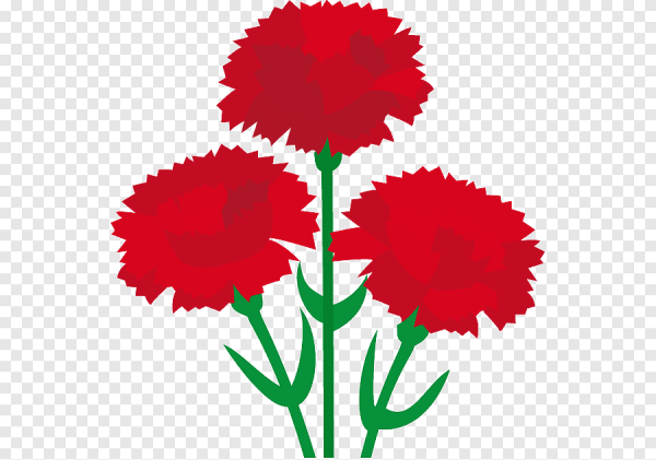 Гвоздики для детей