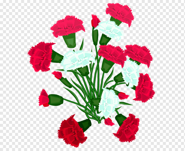 Гвоздика на 23 февраля