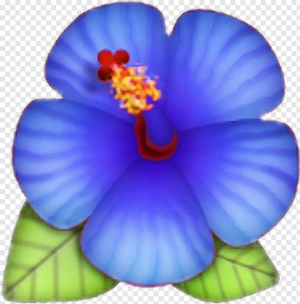 Смайлик цветок