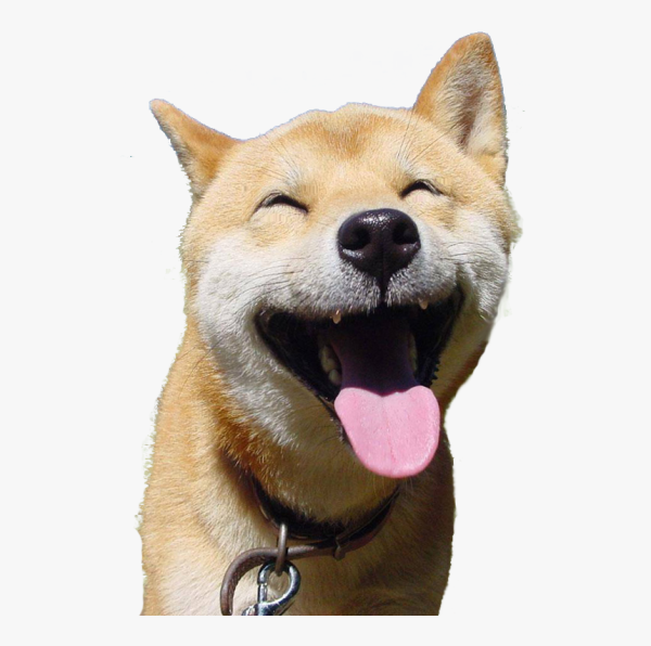 Шиба ину Смайл