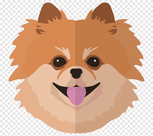 Шпиц терьер померанский