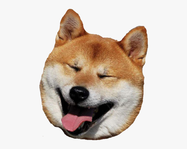 Шиба ину голова