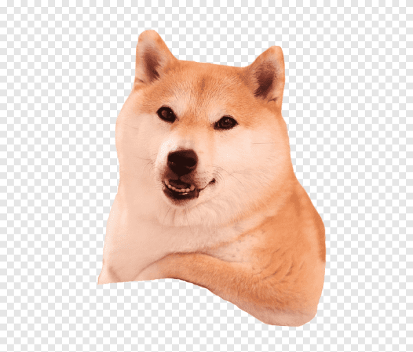 Собака Догги Акита ину