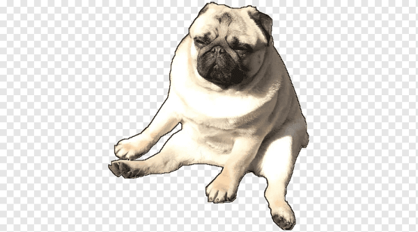 Смайлик МОПСА