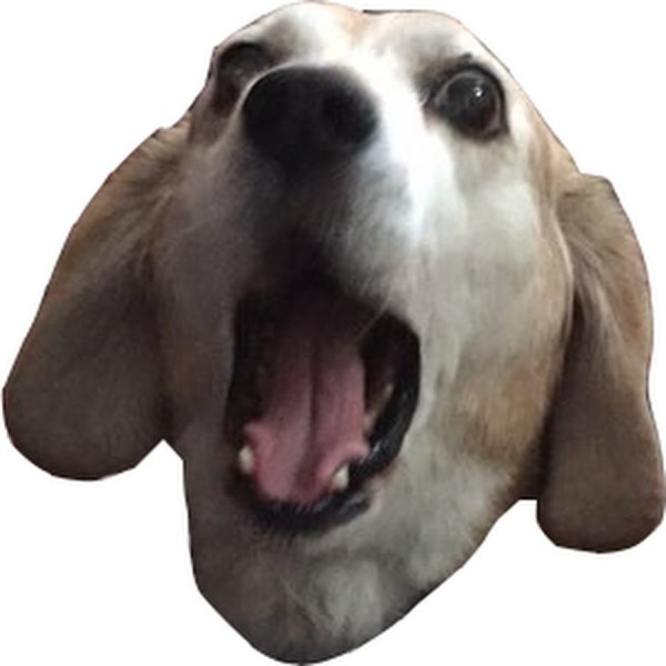 Смайлик собака Твич