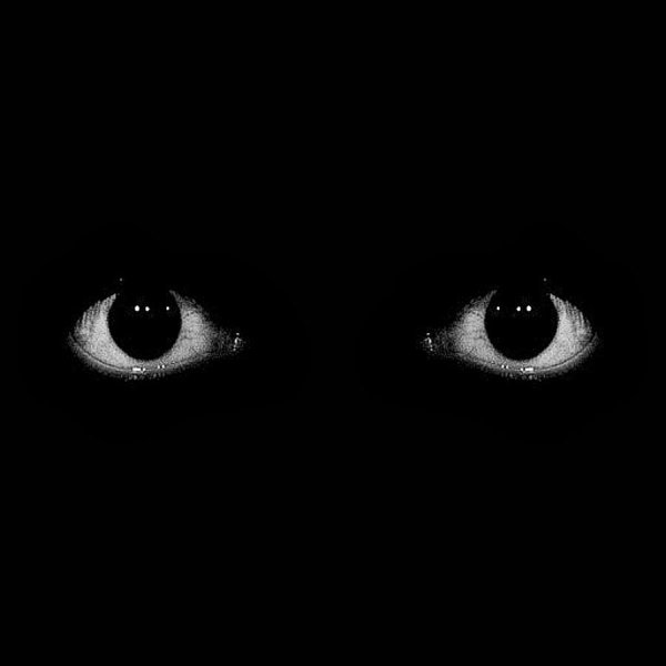 Глаза в темноте