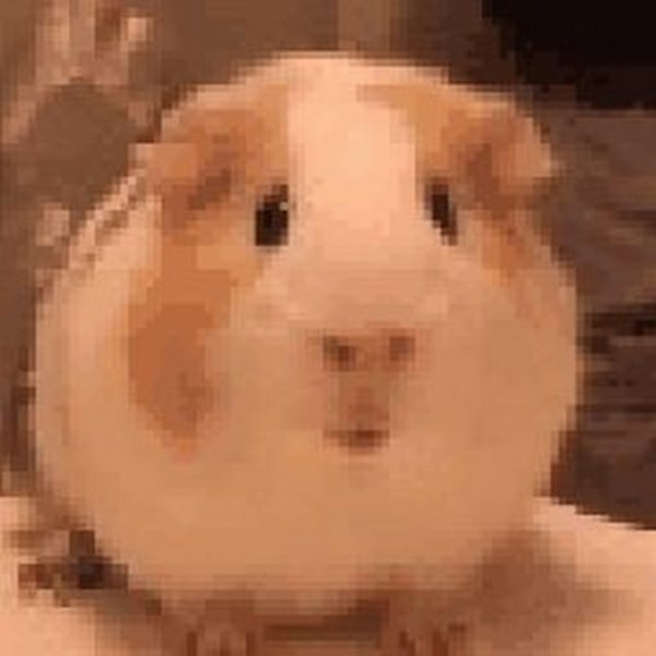 Эмодзи птица