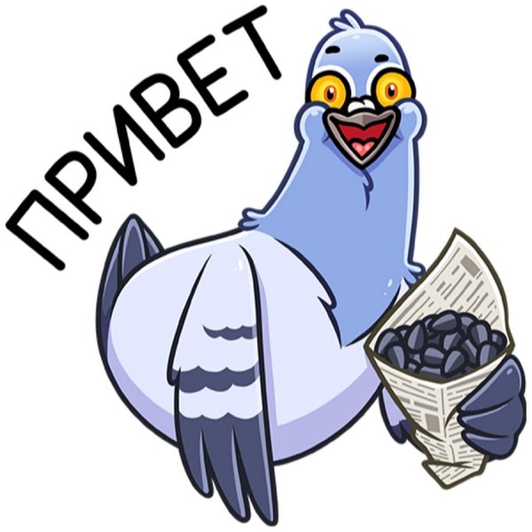 Голубь Михаил Стикеры ВК