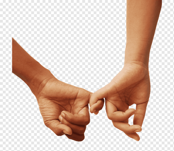 Руки вместе на прозрачном фоне