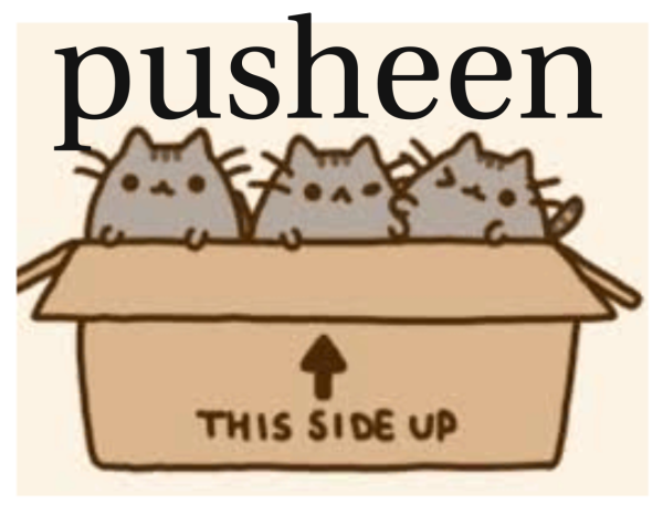 Пушин котики в каробки