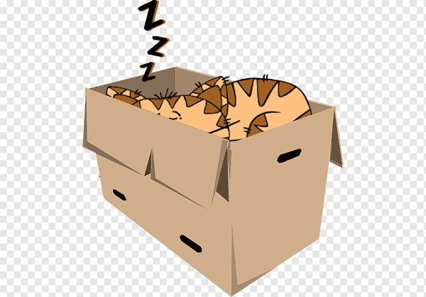 Кот в картонной коробке на прозрачном фоне