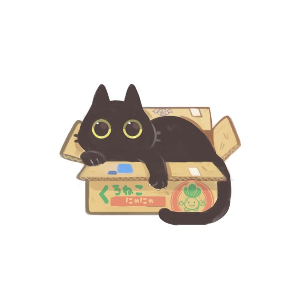 Кот в коробке