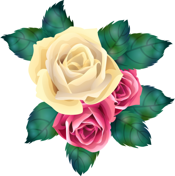 Цветы без фона