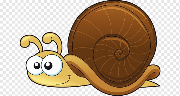 Улитка вектор