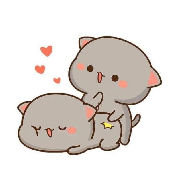 Кавайные котики любовь
