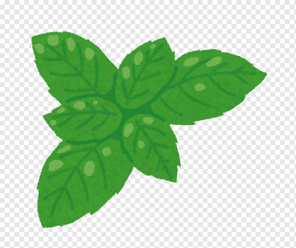 Базилик иконка