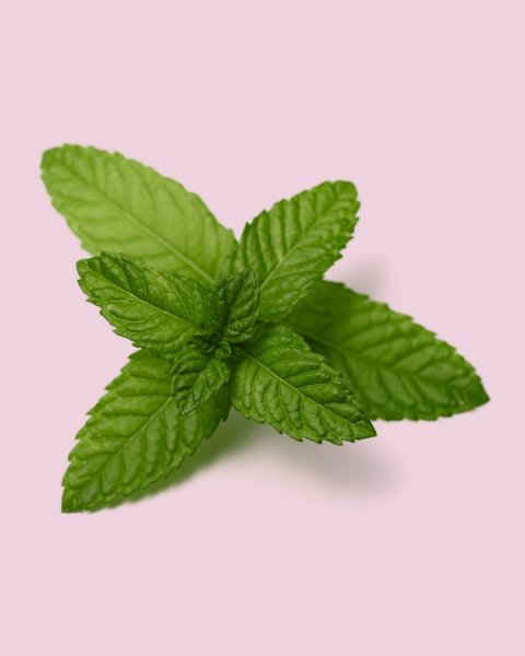 Мята и Мелисса