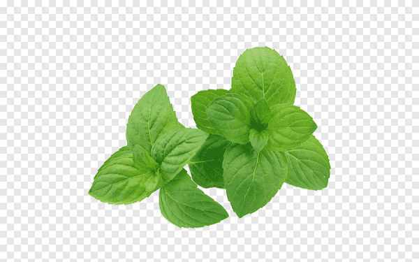 Мохито мята базилик