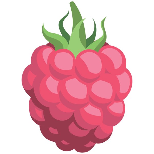 Раздаточный материал малина