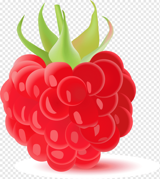 Малина для детей